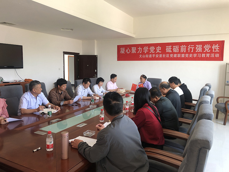 文山街道平安里社区组织党建联盟单位开展党史学习教育活动